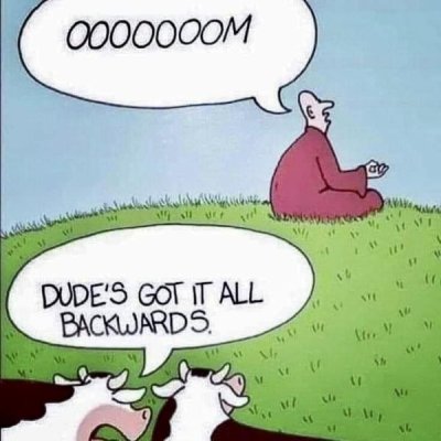 000 Mooo.jpg