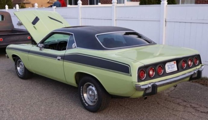 72 Cuda CYCLOPES.JPG