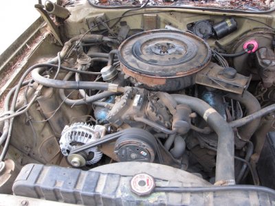 IMG_6158.JPG IMG_6158.JPG