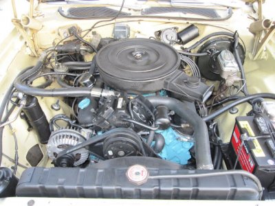 IMG_6573.JPG IMG_6573.JPG