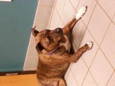 20140730_185037.jpg 20140730_185037.jpg