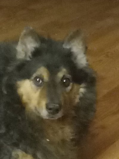 20230304_232336.jpg 20230304_232336.jpg