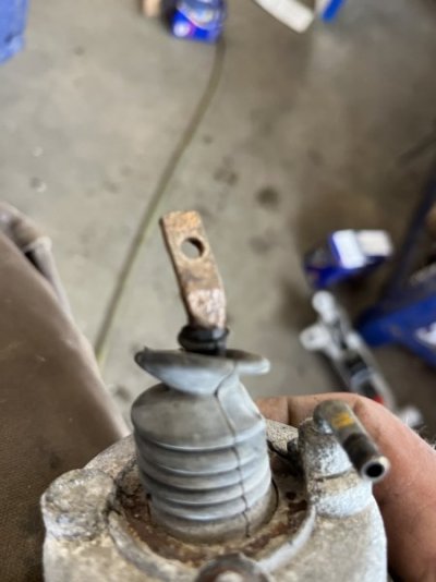 IMG_4452.jpeg IMG_4452.jpeg