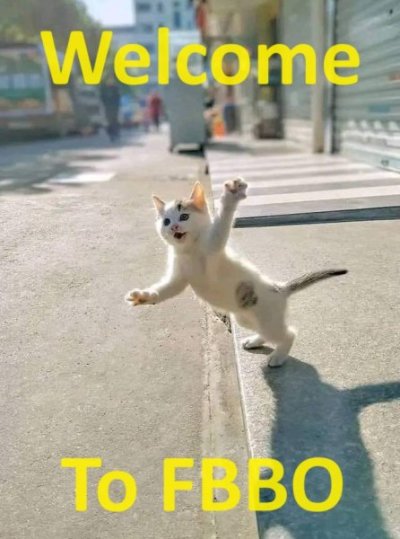 Welcome Cat 8.jpg