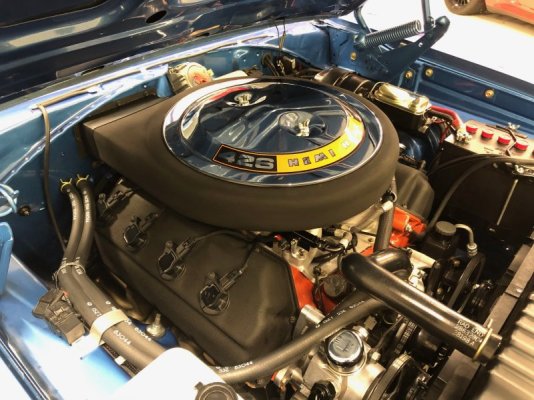 IMG_3556.jpg IMG_3556.jpg