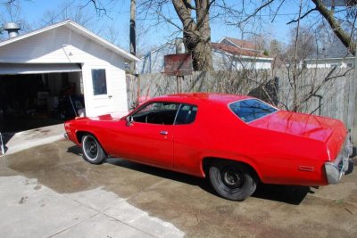 rear quarter.jpg rear quarter.jpg