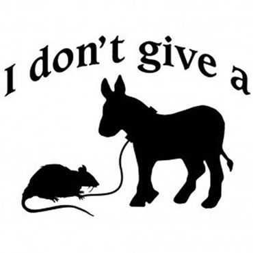 I Don't Give a Rat's-***.jpg