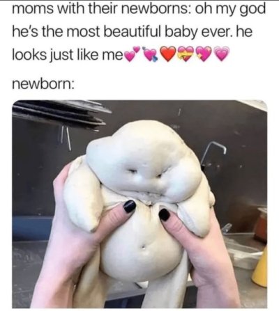 395.jpg