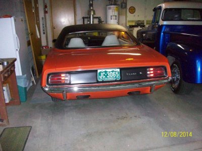 cuda plates 001.jpg