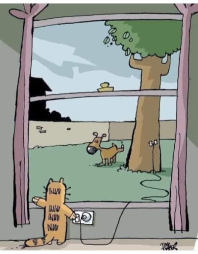 1714153055789.png
