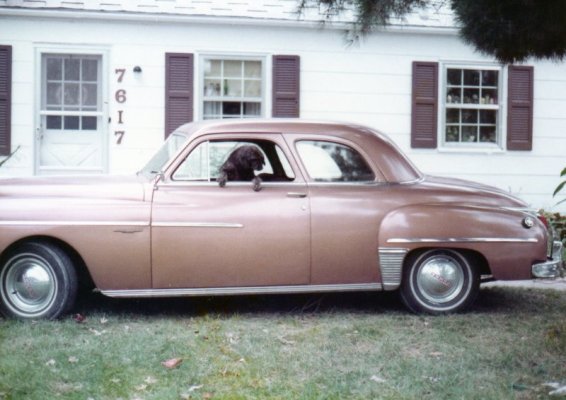 1949 Ddodge 1982.jpg