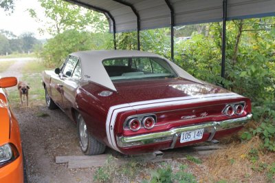 IMG_8874.jpg IMG_8874.jpg