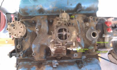 IMAG0679small.jpg IMAG0679small.jpg