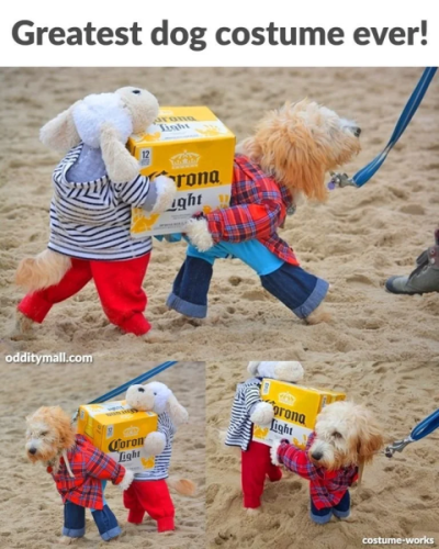 1709648733963.png