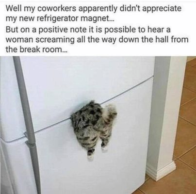 1715917091701.png
