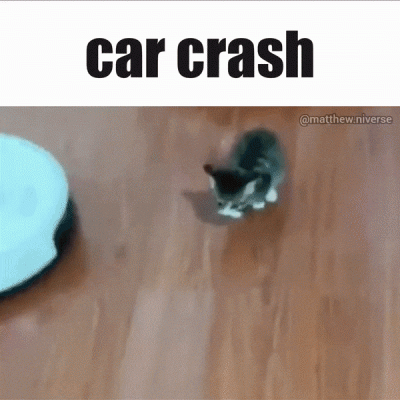 20b1adc8fcd159886302d8f44395351c6fb320f2.gif