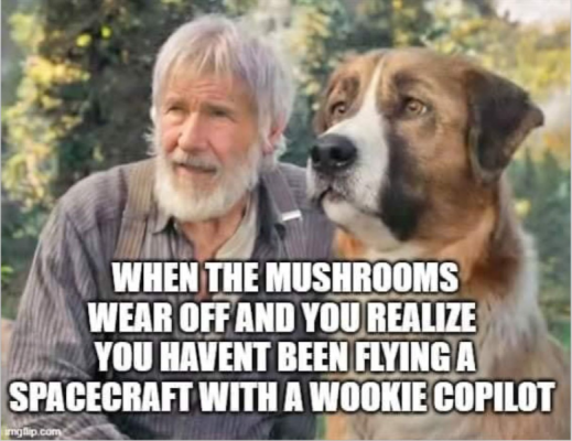 1716709465390.png
