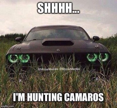 shhhhh.jpg