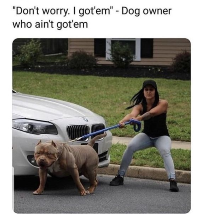 1717274238811.png