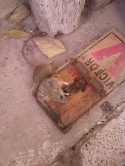 IMG_0488.jpg IMG_0488.jpg