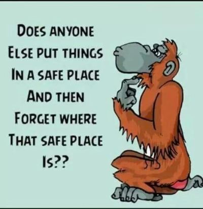 1717755396072.png