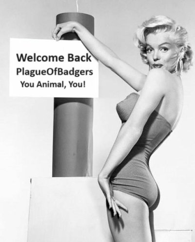 Welcome Back.jpg Welcome Back.jpg