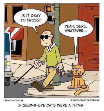 1718594857915.png