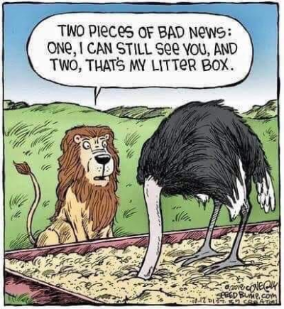 1718836011968.png