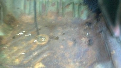 2014-08-28_18-58-13_943.jpg