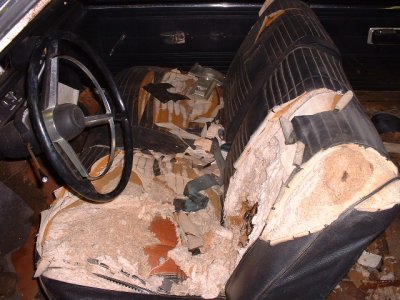 Roadrunner before pictures 002.jpg