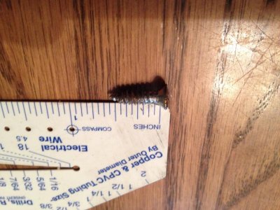 IMG_2970.jpg IMG_2970.jpg