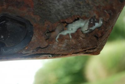 DSC_7833.jpg DSC_7833.jpg