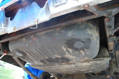 DSC_7842.jpg DSC_7842.jpg