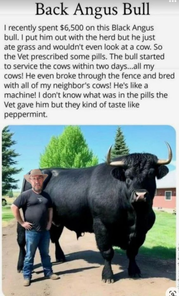 1718924305491.png