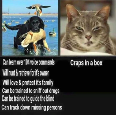 1719099181713.png