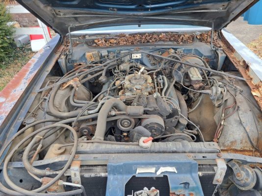 20231216_121836.jpg 20231216_121836.jpg