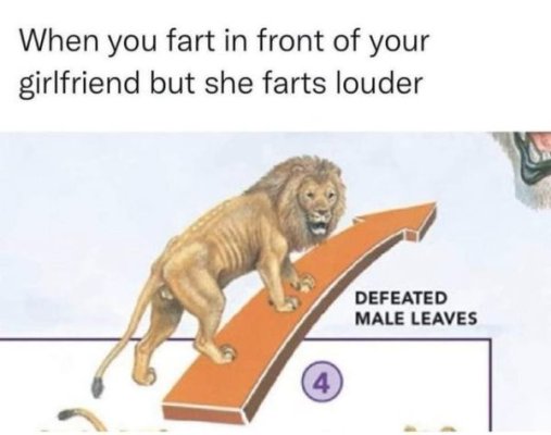 1707492105698.jpeg