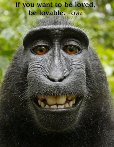 Monkey Business (2).jpg