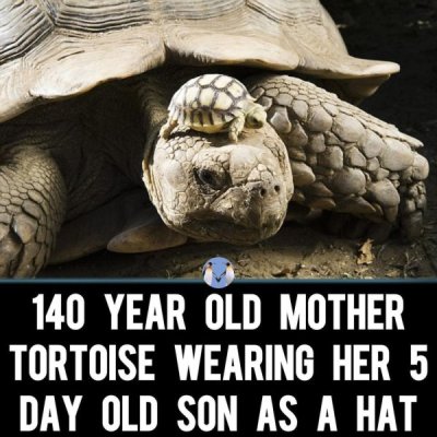 Mother & Son.jpg