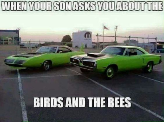 1721435879830.png