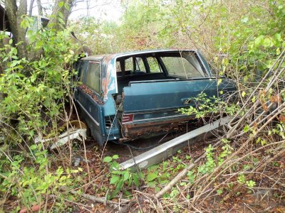 100_3246.jpg 100_3246.jpg