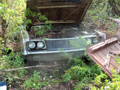 100_3254.jpg 100_3254.jpg