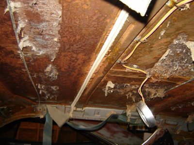 Picture 126.jpg