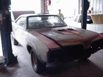 superbee3.jpg superbee3.jpg