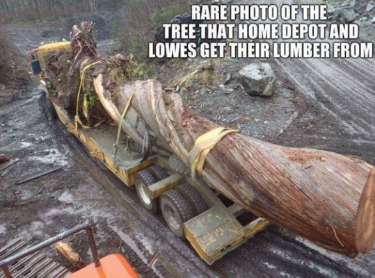 1722793872581.png