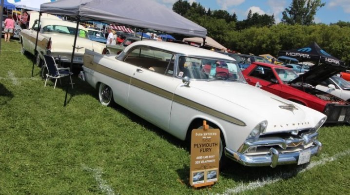 '56 Plymouth Furys Back to Back.jpg