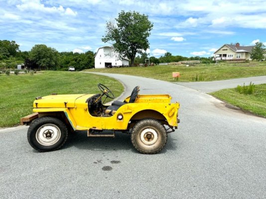 Old-Yeller-IMG_8391-scaled.jpg