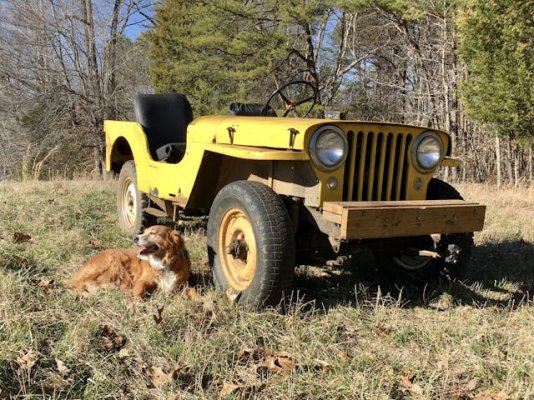 Old-Yeller-IMG_2918-scaled.jpg