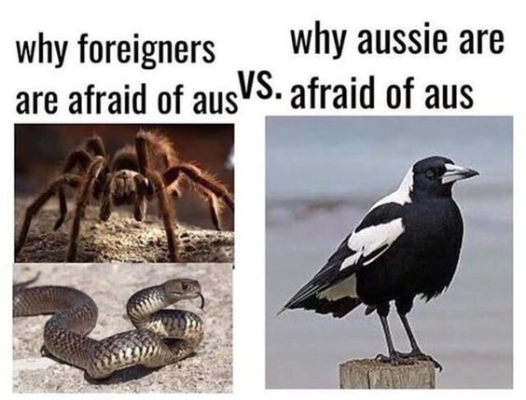 1722880904786.png