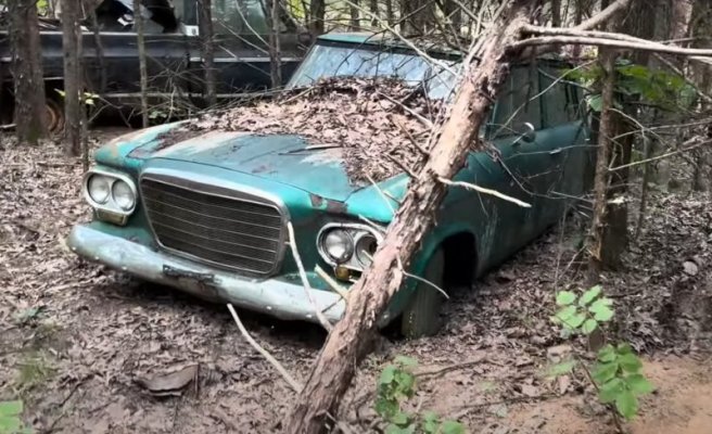abandoned-junkyard-hidden-in-the-woods-is-packed-with-classics-begging-for-restoration_6.jpg